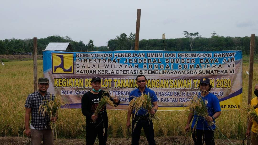 Panen Perdana Hasil Kegiatan Demplot Tanaman Pangan Sawah Tahun 2020