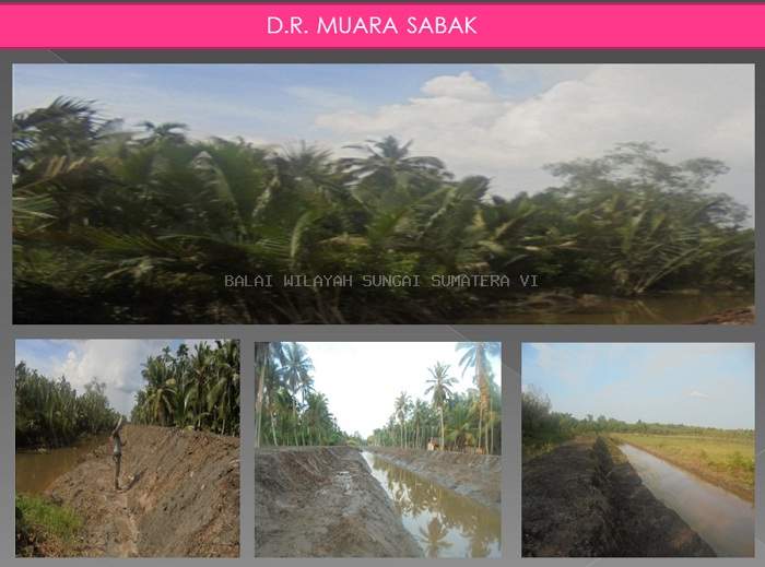 Pekerjaan Peningkatan/Rehabilitasi Jaringan Rawa D.R. Muara Sabak Kab. Tanjung Jabung Timur
