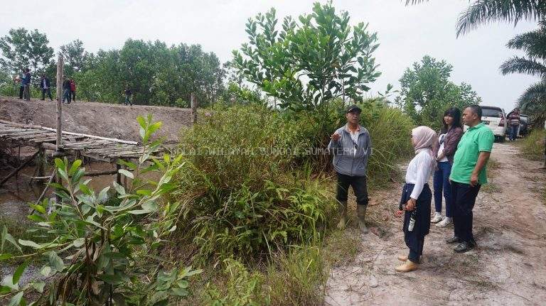 Subdit Irigasi & Rawa Melakukan Monitoring dan Evaluasi Pekerjaan Jaringan Rawa